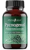 Pinienrindenextrakt hochdosiert - Original Pycnogenol - mit Vitamin C aus der Acerolakirsche - 60 vegane Kapseln - Reicht für...