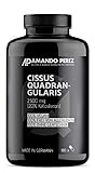 Cissus Quadrangularis Extrakt 2500 mg • 180 vegane Kapseln • Liefert 20% Ketosterone • Hochdosiert • Made in Germany •...