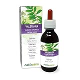Baldrian (Valeriana officinalis) Wurzeln Alkoholfreier Urtinktur Naturalma - Flüssig-Extrakt Tropfen 100 ml -...