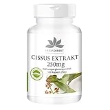 Cissus Kapseln - Cissus Quadrangularis Extrakt 250mg - 20% Ketosterone - 120 Kapseln | HERBADIREKT by Warnke Vitalstoffe -...
