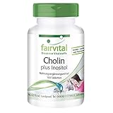 Fairvital | Cholin Bitartrat plus Inositol - 100 Tabletten - HOCHDOSIERT - VEGAN