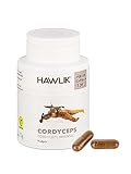 HAWLIK Vitalpilze Cordyceps Pulver Kapseln - 120 Kapseln - 500 mg Vitalpilz Pulver - Vegan - Zuckerrohr-Dose