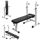 ISE Fitness Hantelbank Drückerbank Trainingsbank mit 5 Stufen Verstellbarer Ablage（91-110cm) und Dip-Griffen Fitnessgerät...