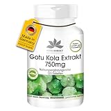 Gotu Kola 750mg - 120 Tabletten - hochdosierter Extrakt - vegan - mit Zink und Vitamin C | HERBADIREKT by Warnke Vitalstoffe -...