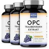 3x OPC Traubenkernextrakt hochdosiert mit natürlichem Vitamin C - 3x 120 OPC Kapseln (12 Monate) mit Acerola, 100% vegan &...