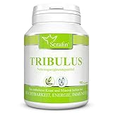 Serafin Tribulus Naturkapseln – Tribulus terrestris – 90 Kapseln – Erd-Burzeldorn + Zink + Vitamin E – Fruchtbarkeit,...