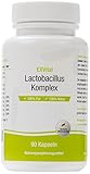 EXVital Lactobacillus Komplex, 10 Milliarden KBE, 90 Kapseln in Premiumqualität - Lactobacillus Acidophilus –1er Pack (1x45g)