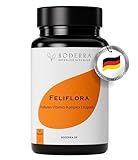 BODERRA Feliflora-Kulturen Komplex - Unterstütze deinen Darmflora Aufbau - 10 lebende Darmbakterienstämme+Inulin, Vitamine B & D...