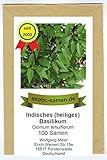 Ocimum tenuiflorum - indisches Basilikum 'Tulsi' - heiliges Basilikum - 100+ Samen