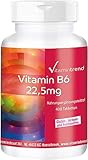 Vitamin B6 22,5mg - 400 Tabletten ! JAHRS-VORRAT ! vegan - Großpackung | Vitamintrend®