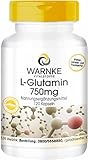 L-Glutamin Kapseln - 3000mg L-Glutamin pro Tagesdosis - vegan & hochdosiert - Freie Form - 120 Kapseln | Warnke Vitalstoffe -...