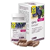 Raab Vitalfood OPC Extrakt Kapseln, 90 Stück, vegan & glutenfrei, Oligomere Proanthocyanidine aus Traubenkernen, Extrakt