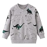 EULLA Jungen Sweatshirt Kinder Pullover Baumwolle Activewear 92-122 1-7 Jahre 1# Grau Dinosaurier DE 110