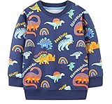 EULLA Kinder Jungen Sweatshirt Pullover Activewear Langarm Baumwolle Dinosaurier Herbst Winter Oberteile 4 Jahre alt 9-1#...