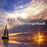 Anti Stress Entspannungsmusik - Klangtherapie und Meditationsmusik & New Age Hintergrundmusik mit Naturgeräusche und Soundeffekte